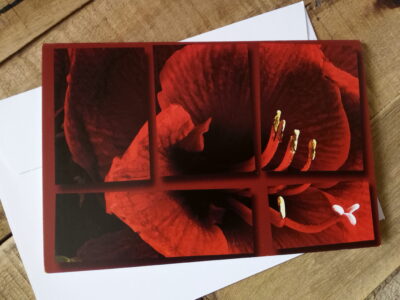 Floral collage greetings cards - Image 5